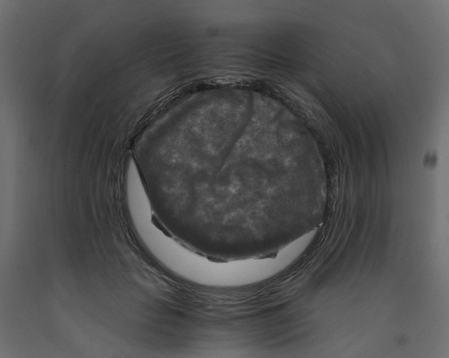 X0000091980653200710041110