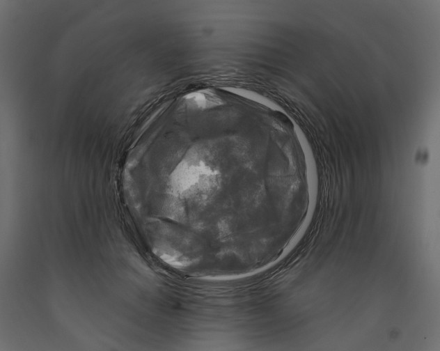 X0000091980654200710041110