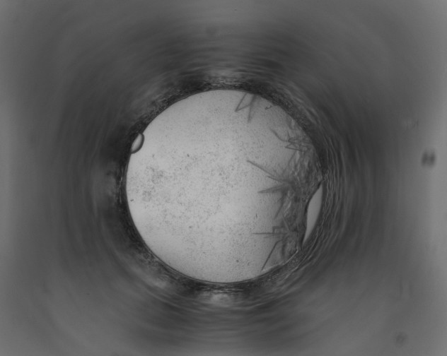 X0000091980655200710041110