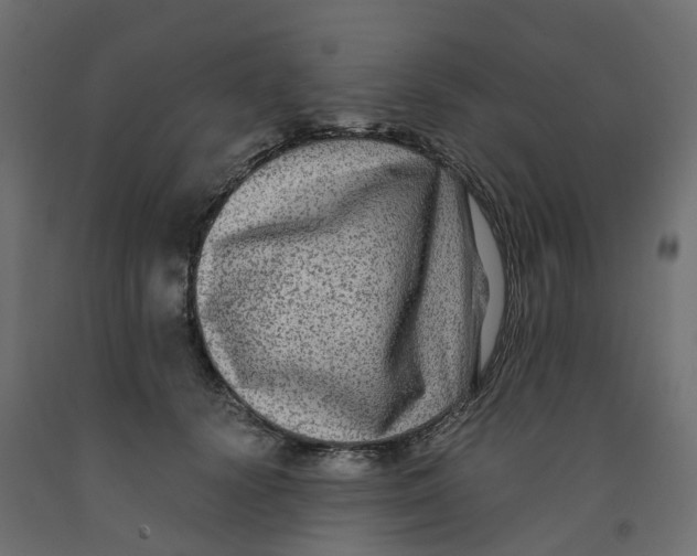 X0000091980656200710041110
