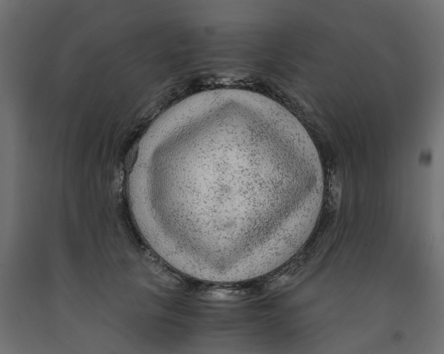 X0000091980657200710041110
