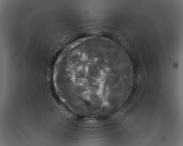X0000091980658200710041110