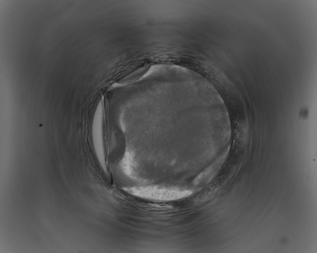 X0000091980659200710041110