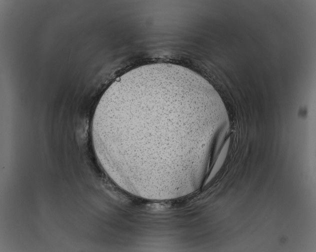 X0000091980660200710041110