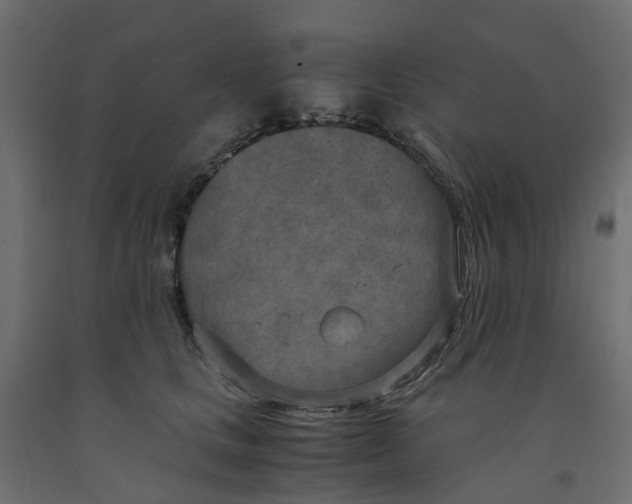 X0000091980661200710041110