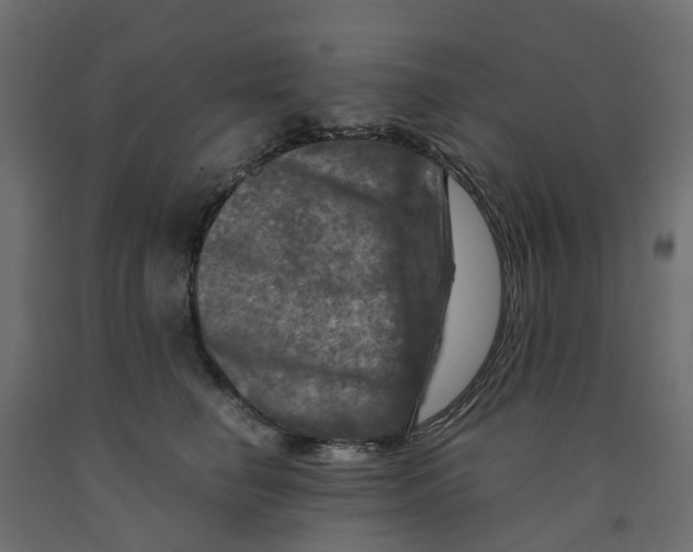 X0000091980662200710041110