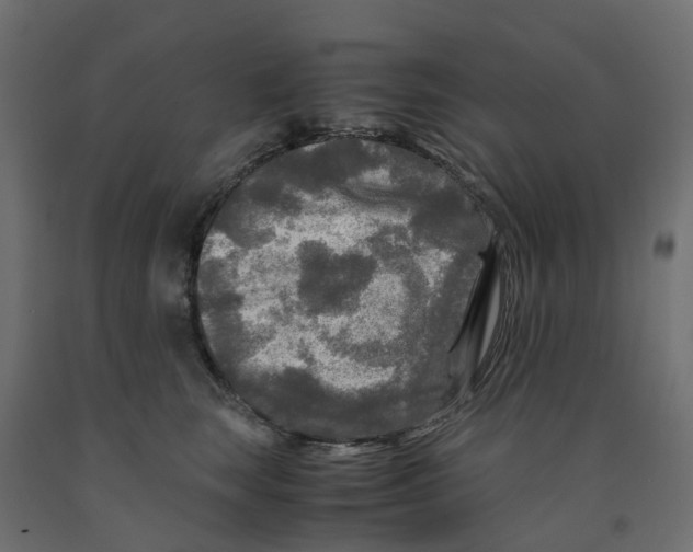 X0000091980663200710041111