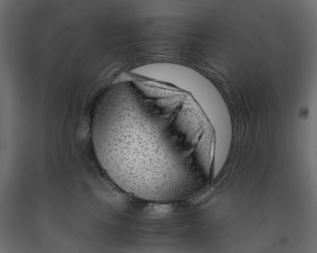 X0000091980665200710041111