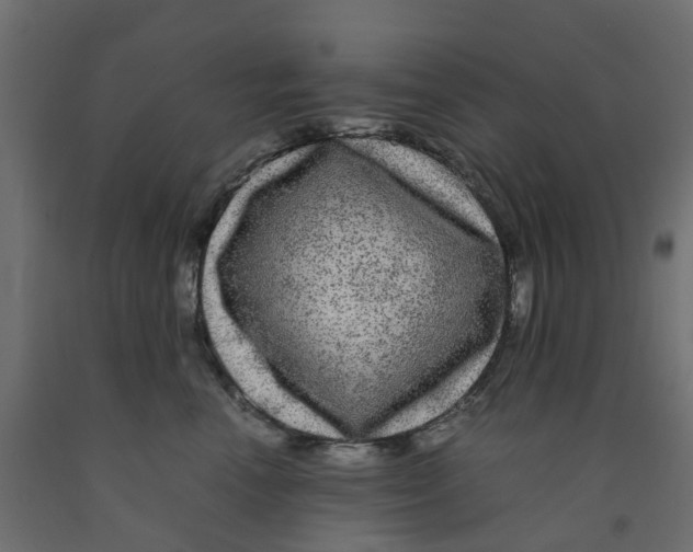 X0000091980666200710041111
