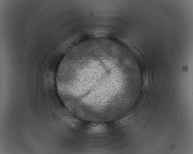 X0000091980667200710041111