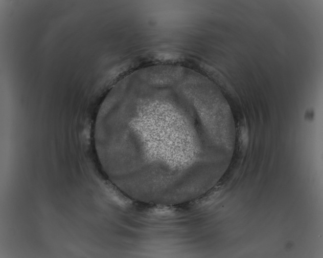 X0000091980668200710041111