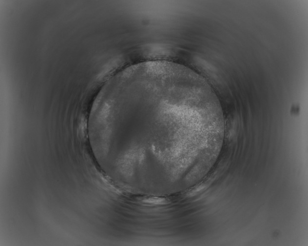 X0000091980669200710041111