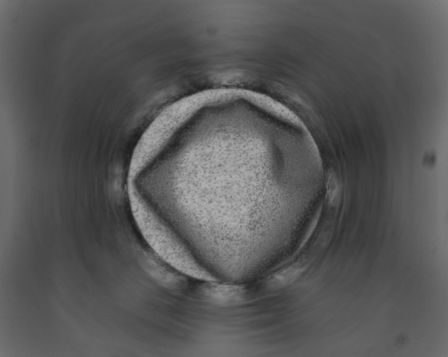 X0000091980670200710041111
