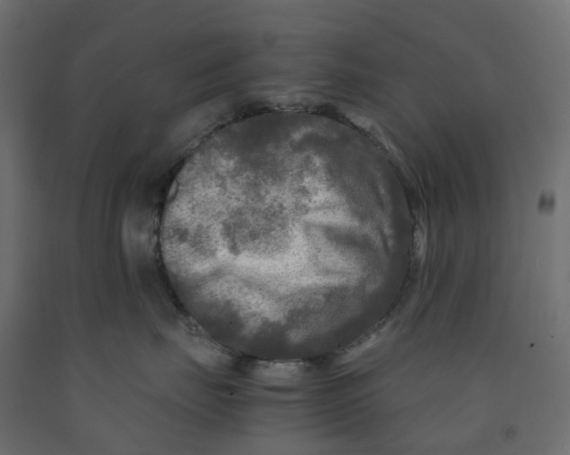X0000091980671200710041111