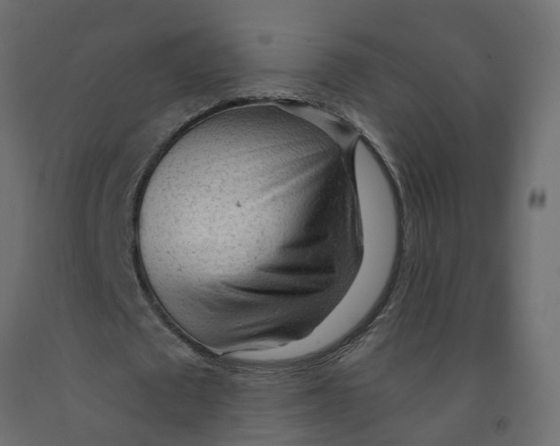 X0000091980673200710041110