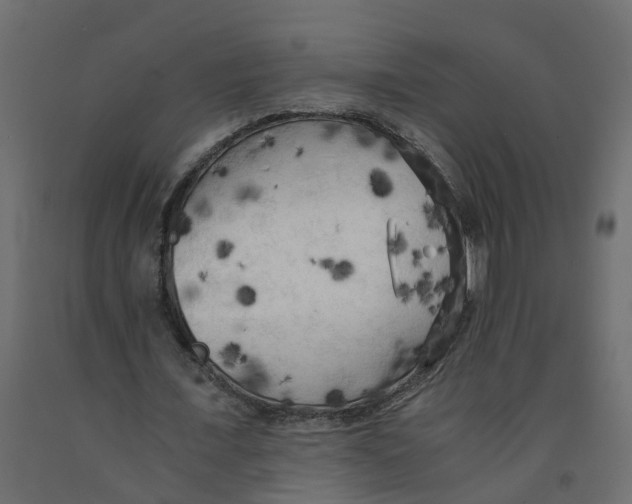 X0000091980675200710041110
