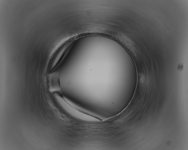 X0000091980676200710041110