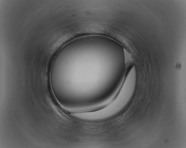 X0000091980677200710041110