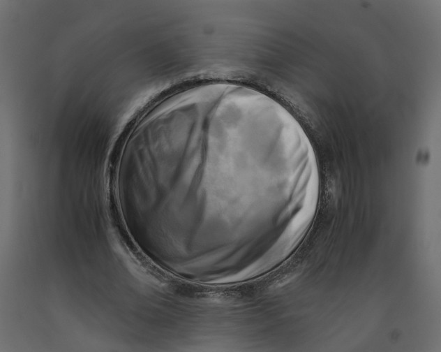X0000091980678200710041110