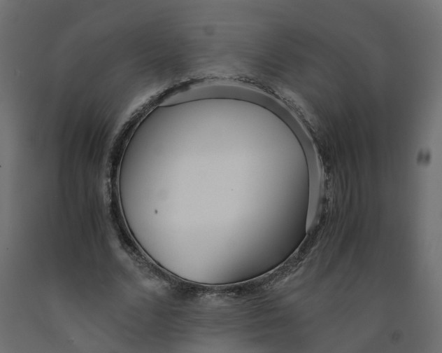 X0000091980680200710041110