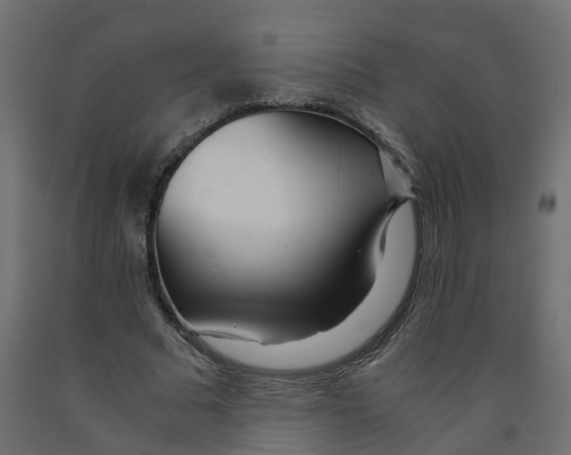 X0000091980681200710041110