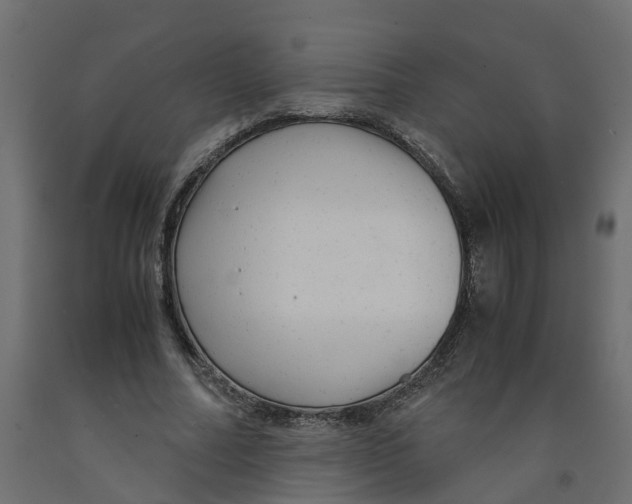 X0000091980682200710041110