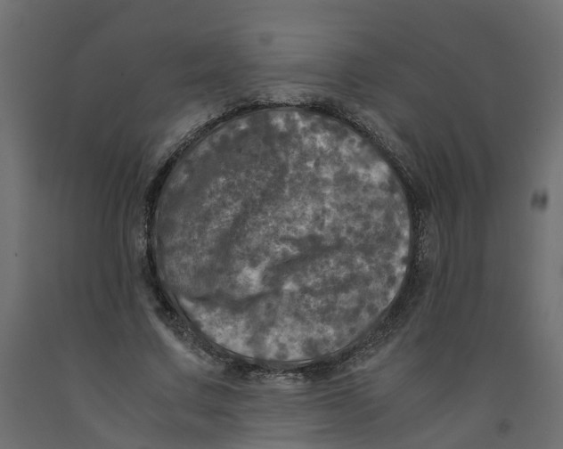 X0000091980683200710041110