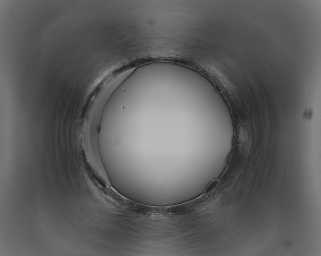 X0000091980684200710041110