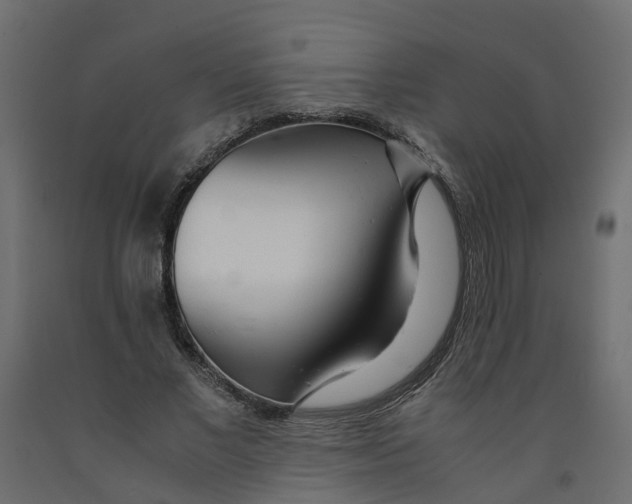 X0000091980685200710041110