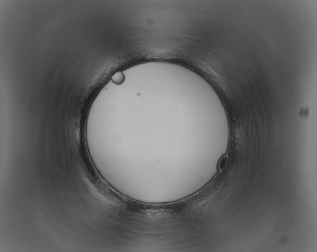 X0000091980686200710041110