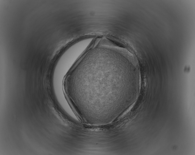 X0000091980688200710041110