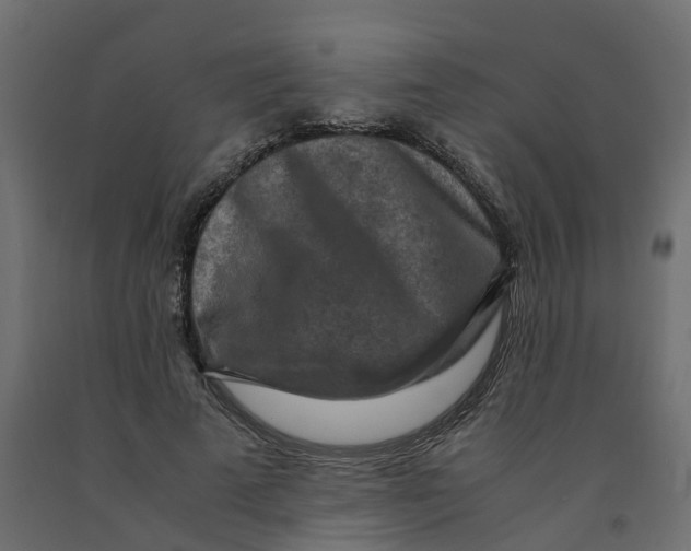 X0000091980689200710041110