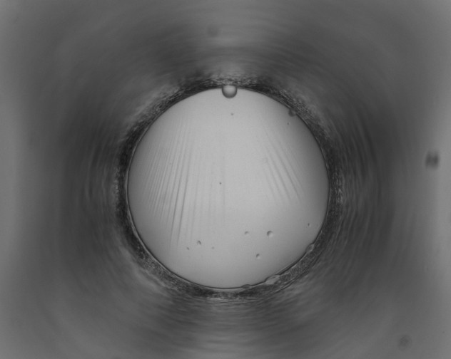 X0000091980690200710041110