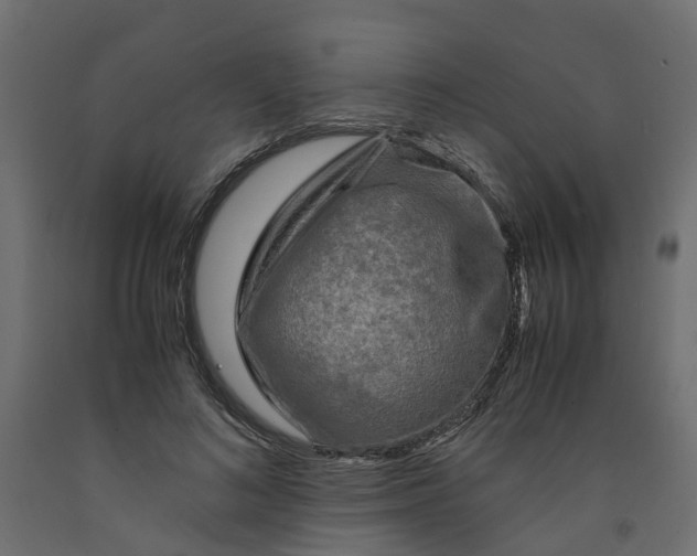 X0000091980692200710041110
