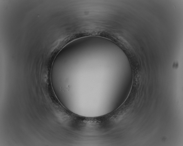 X0000091980693200710041110