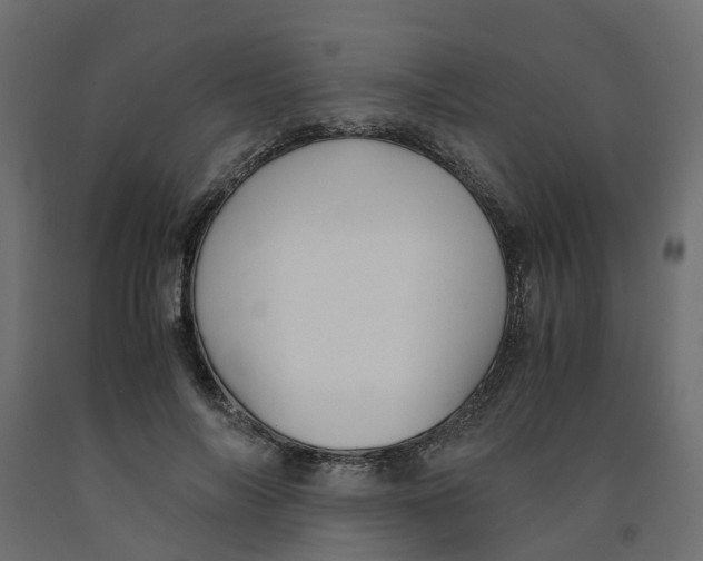 X0000091980694200710041110