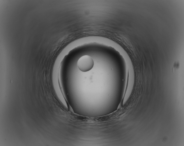 X0000091980697200710041110