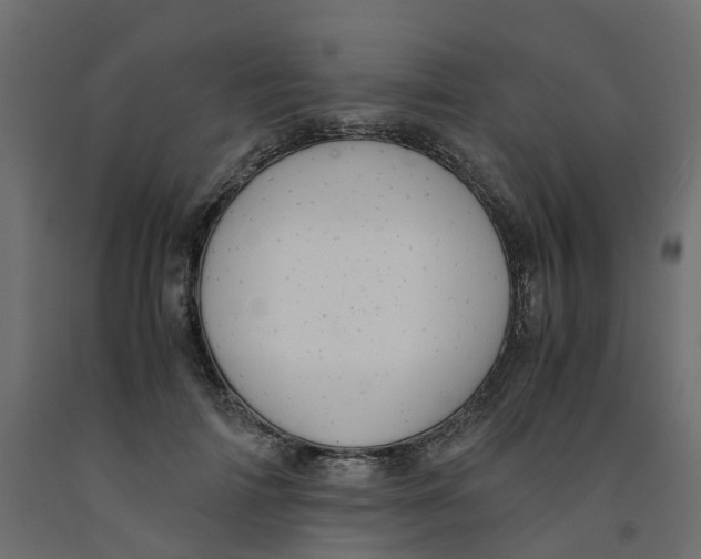 X0000091980698200710041110