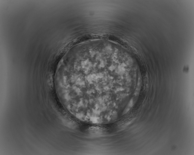 X0000091980699200710041110