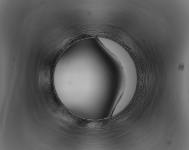 X0000091980700200710041110