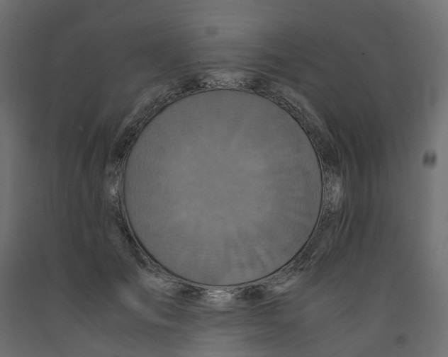 X0000091980701200710041110