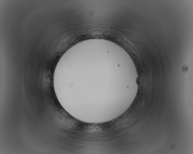 X0000091980702200710041110