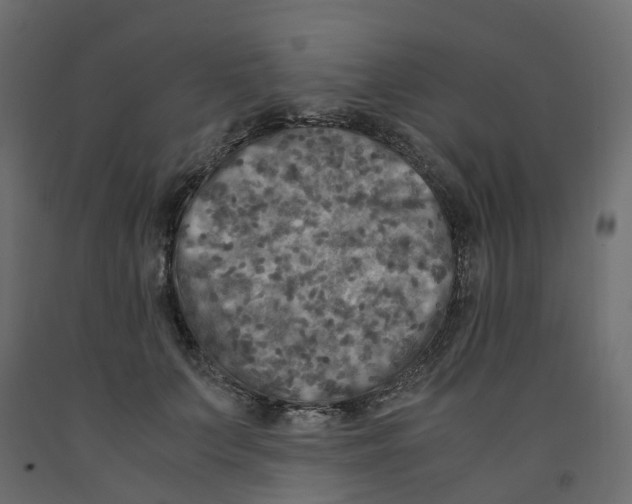 X0000091980703200710041110