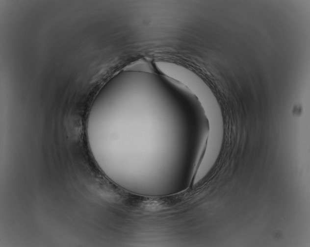 X0000091980704200710041110