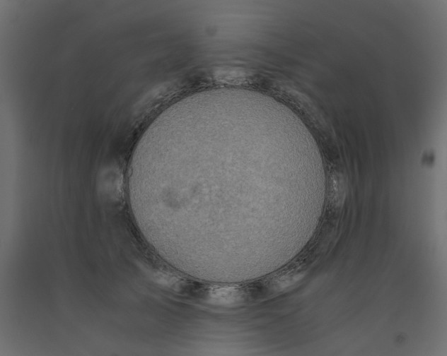 X0000091980705200710041110