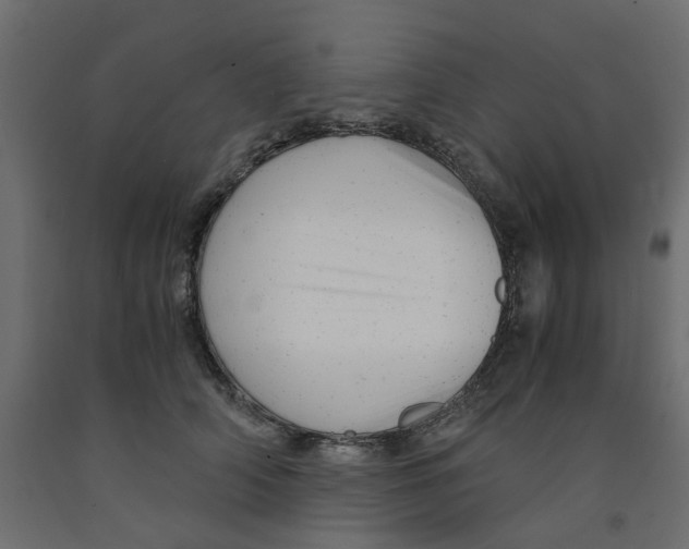 X0000091980706200710041110