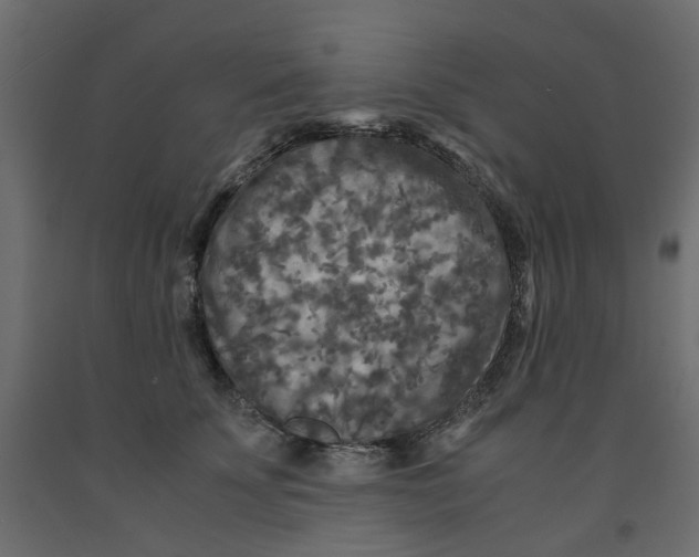 X0000091980707200710041110