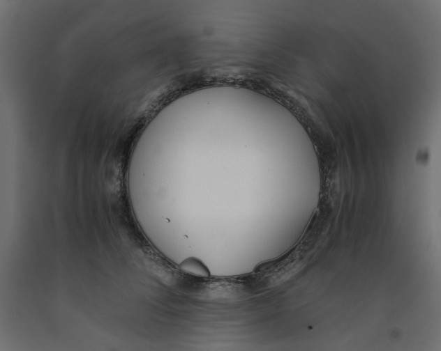 X0000091980708200710041110