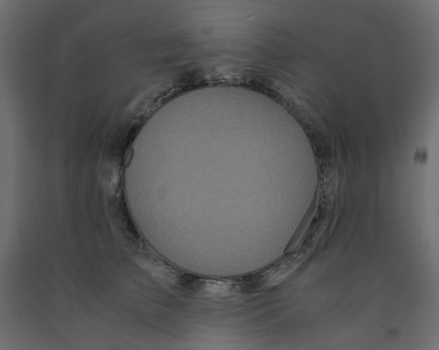X0000091980709200710041110