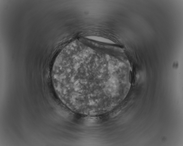 X0000091980711200710041110